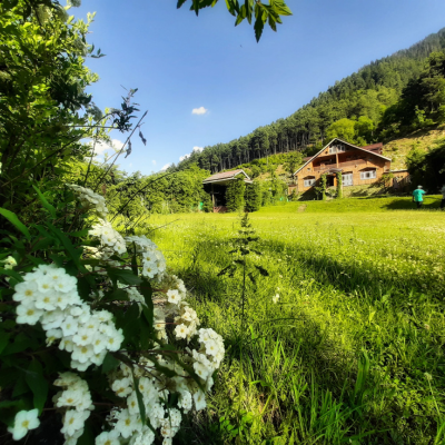 Pahalgam Retreat